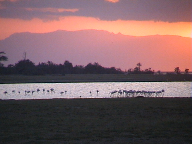 Sonnenuntergang am Lake Manyara (Tanzania)